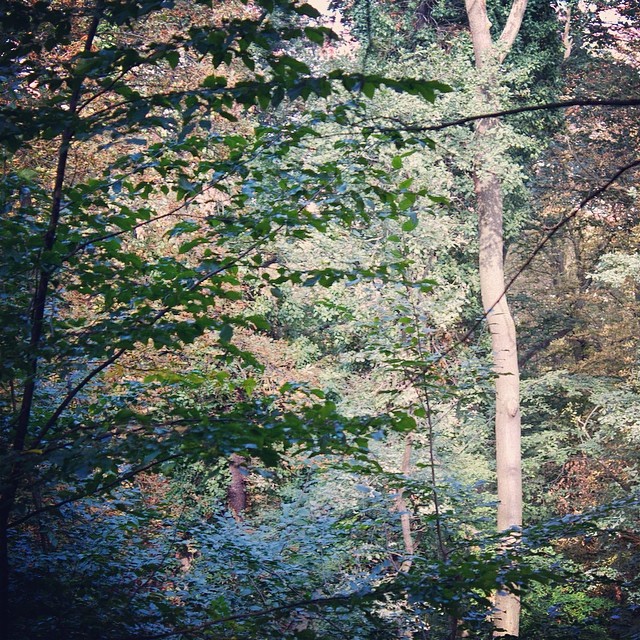 A beautiful hike up 