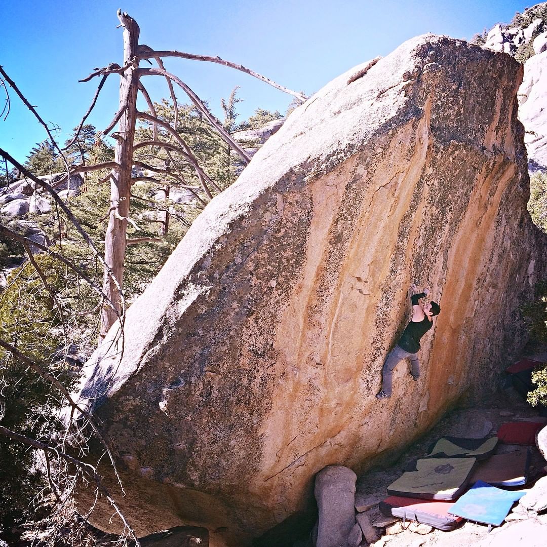 Great day out at Bla