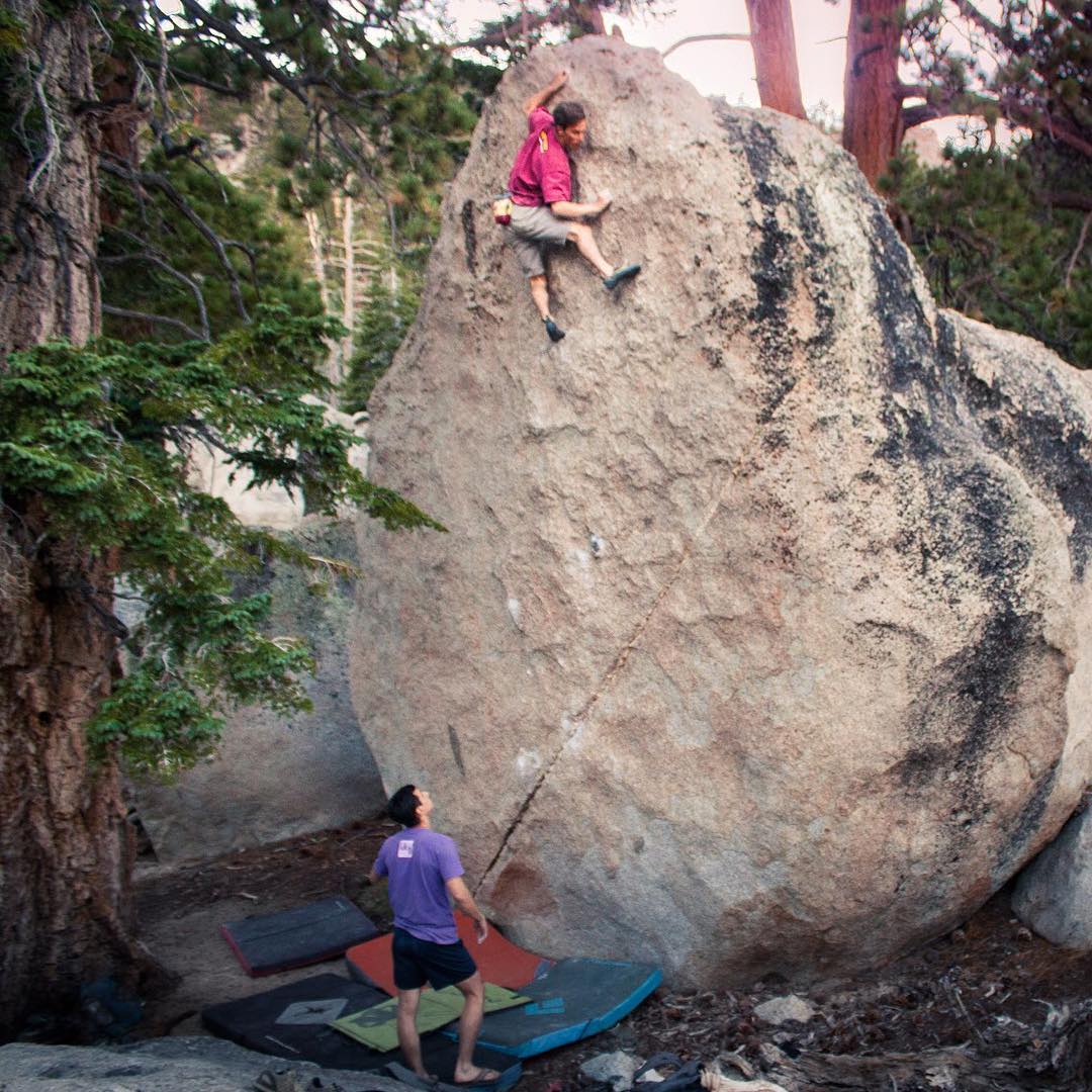 White Flight (V3). #
