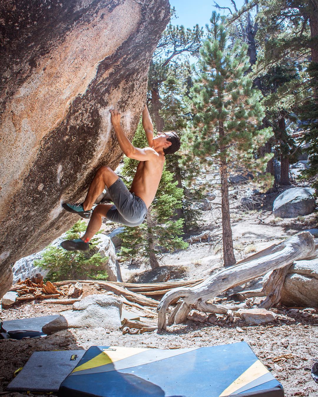 Year of the Cat (V10